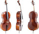Gewa Cello Allegro-vc1 3/4 Set Up Case Bow Massaranduba Larsen Aurora Strings