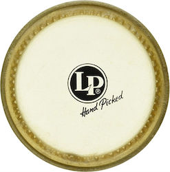 Lp Lp264d Δέρμα Μπόγκος