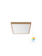 Braytron Jade Ceiling Mount Light 23cm