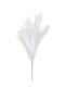 Künstliche Pampasgras Blumen Creme 80cm 9 Zweige