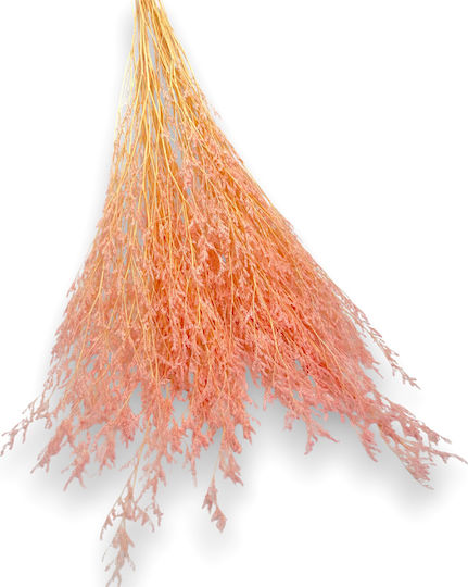 Getrockneter Blumenstrauß aus Juniperus Zweigen Rosa 80cm Rin-l127r