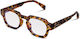 Grayson Dark Noble Tortoise