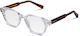 Zane Crystal Shell Tortoise