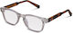 Thayer Misty Tortoise