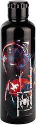 Paladone Bottle