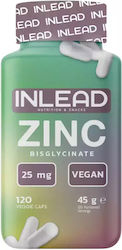 Inlead Nutrition Zinc 120 Mützen Inlead Nutrition Zinc 120 Mützen