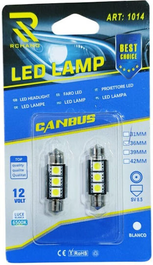 Car Lamp Canbus LED 6500K Cold White 12V