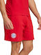 FCB DNA Men's Shorts Red