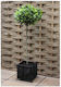 Vigoroot Planting Bag H 34cm W 35cm D 30cm