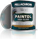 Βερνικοχρωμα Αλκυδικο Πολυτελειας 750ml Pellachrom Paintol Gloss Λευκο White N.100