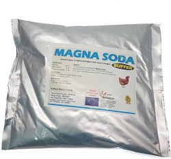 Συμπληρωμα Τροφης Magna Soda 3kg