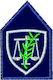 Sewn Patch Scratch Epaulette Scale