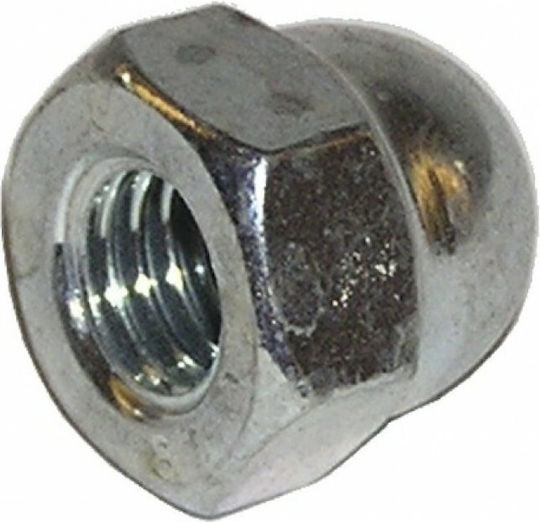 Blind Stainless Steel A2 Nut 5 OEM Din1587