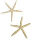 Stars Decorative Set/5 Finger 18-20cm White