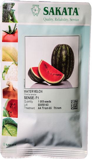 Hybrid Watermelon Seed Sensei F1 1000 Seeds