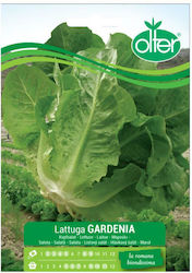 Μαρούλι Lattuga Gardenia Σπόρος 1 Τμχ