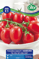 Olter Tomate Ntomatini Velláni Mandurio F1 1φακ