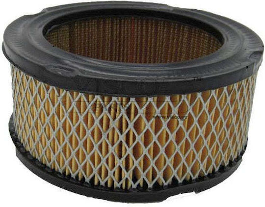 Air Filter B & S 10.0-11.0-12.0 Hp