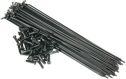 Bsd Stainless Spokes Black