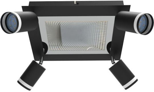 Spot Light Spot mit GU10 Fassung in Schwarz Farbe