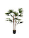 Plantă Palmier 156cm