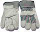 Agroequip Gloves for Work Leather-Cotton 1pcs