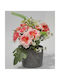 Dekorative Topfpflanze Rosa 15x15x17cm Sidirela E-4665