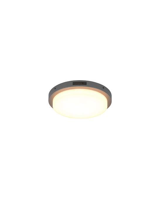 Trio Lighting Bermejo Таванно осветление Сив