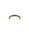 Trio Lighting Bermejo Таванно осветление Сив