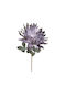 Art Et Lumiere Lila Blume