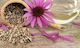 HealthTrade Echinacea 1000gr