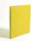 Clasor 2 Inele 2cm A4 Plastic Transparent Galben