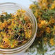 HealthTrade Balsamwort 1000gr