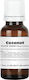 Coconut Smoke Liquid Essence 20ml Showgear
