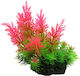 Epigasos Künstliche Pflanze für Aquariendekoration 9*6*y15cm 88j