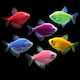 Gymnocorymbus ternetzi - Widow Tetra Colour Mix 2.5-3.5cm Ψάρι Ενυδρείου