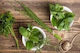 HealthTrade Μελισσόχορτο 1000gr
