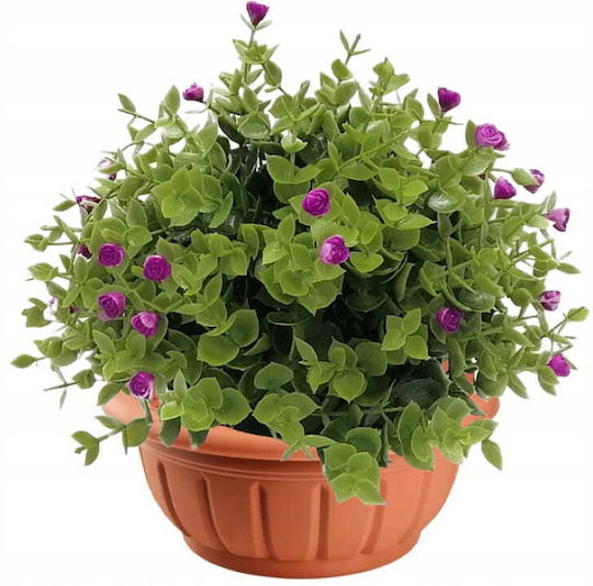 Galicja Pot Plastic Terracotta