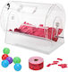 Vevor Acrylic Raffle Drum Holds 10000 Tickets 300 Raffle Balls Professional Raffle Ticket Spinning Cage 2 Keys Transparent Lottery Spinning Drawing Raffle Ticket Box Lottery Games Bing