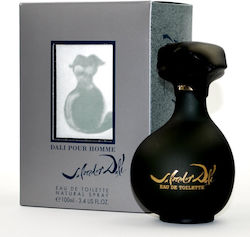Salvador Dali Eau de Toilette 100ml Salvador Dali Eau de Toilette 100ml