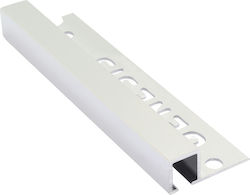 Genesis Aluminium Fliesenprofil Tdp100.91 Höhe 10mm Breite 10mm Länge der Stange 2.5m 91 Helles Silber