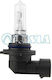 Tesla Lamps Car HB3 12V 65W 1pcs