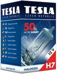 Tesla Λάμπα H7 Αλογόνου