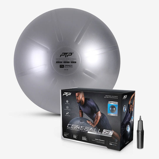 PTP Ball Pilates 75cm in Silber Farbe