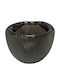 Galifas Decorative Bowl Black 22x18cm