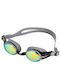Fashy Schwimmbrille Erwachsene Gray