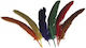 Feathers Poua 17-22 Cm 12 Pieces Different Colors