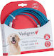 Vadigran Dog Leash/Lead Strap in Blue color
