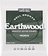 Ernie Ball Earthwood Σετ Χορδών Bronze Ακουστικ...
