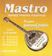 Mastro Einzelne Saiten 10" für Bouzouki Silberbeschichtet Custom
